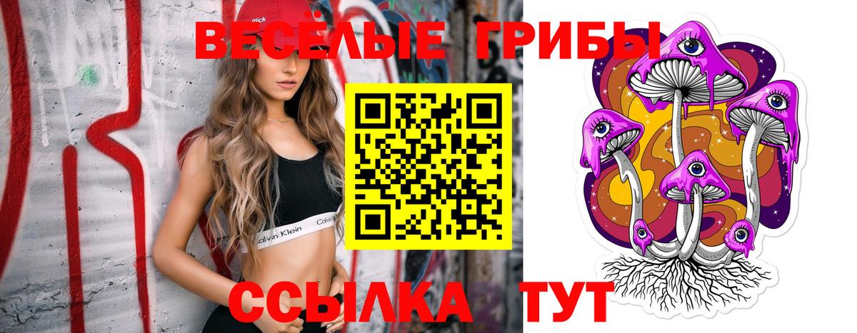 Галлюциногенные грибы Psilocybine cubensis Южноуральск